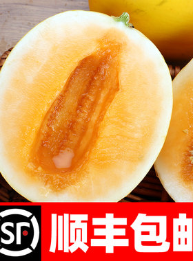 谷绿阳光金红宝甘甜如蜜黄河蜜瓜