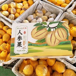 【精品礼盒装】顺丰快递甘肃民勤人参果5斤黄肉大果新鲜水果