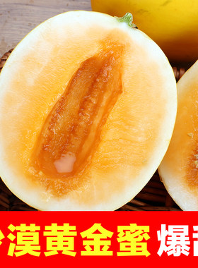 民勤蜜瓜黄河甘肃谷绿阳光