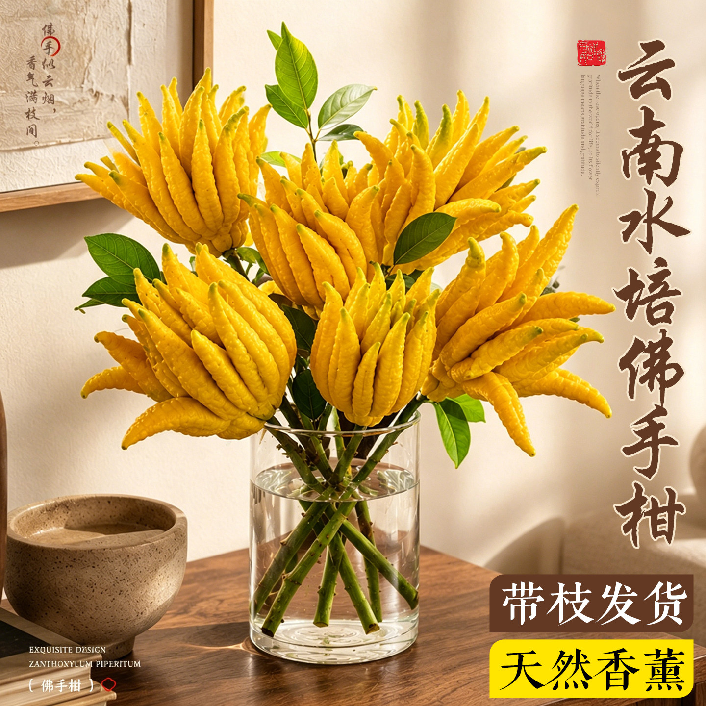 【云南佛手柑】水培浓香带枝鲜果