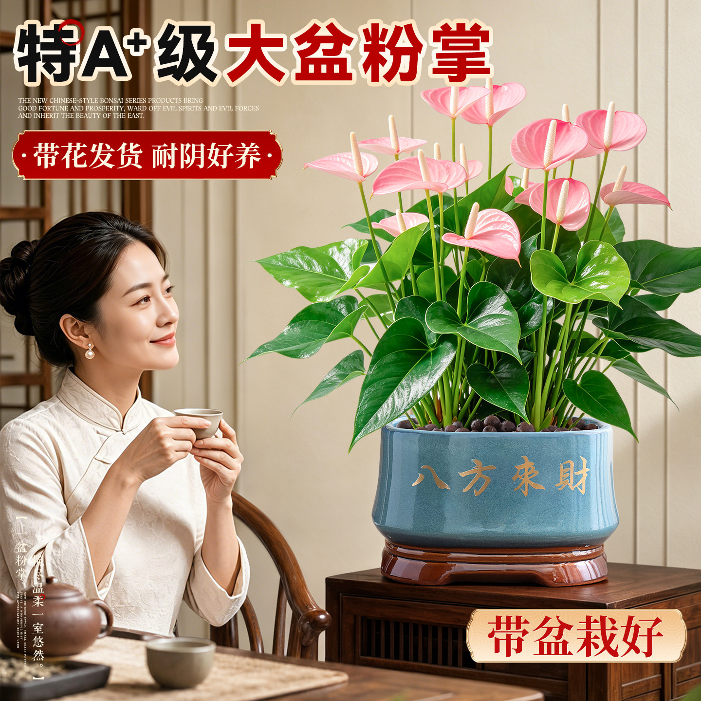 大盆带花粉掌盆栽客厅室内桌面绿植花卉耐阴好养净化空气多季开花