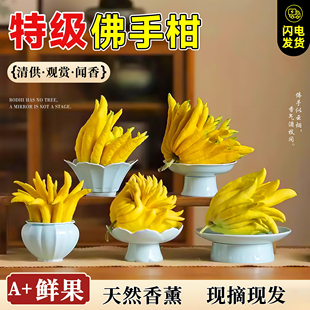 佛手柑鲜果室内绿植清供佛手果观赏闻香摆件水培清香水果车载香薰