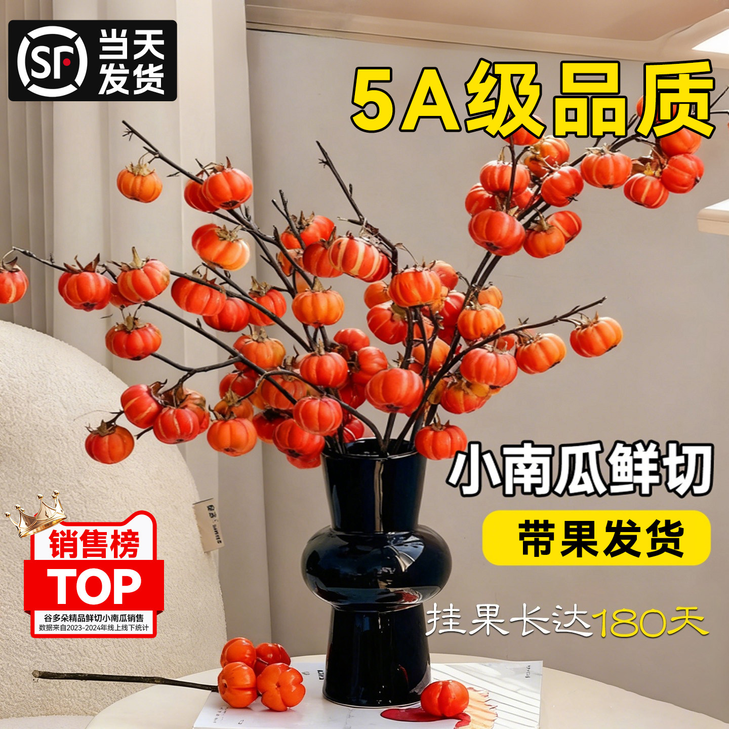 小南瓜鲜花观赏插花水培植物鲜切