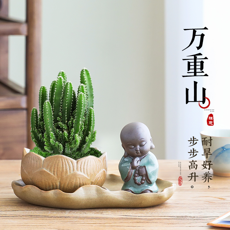 万重山盆栽绿植仙人掌耐旱多肉植物室内办公室桌面上摆件四季好养