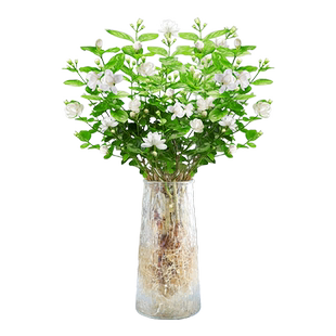 茉莉花水培植物盆栽室内好养多季开花绿植水养易活栀子九里香花卉
