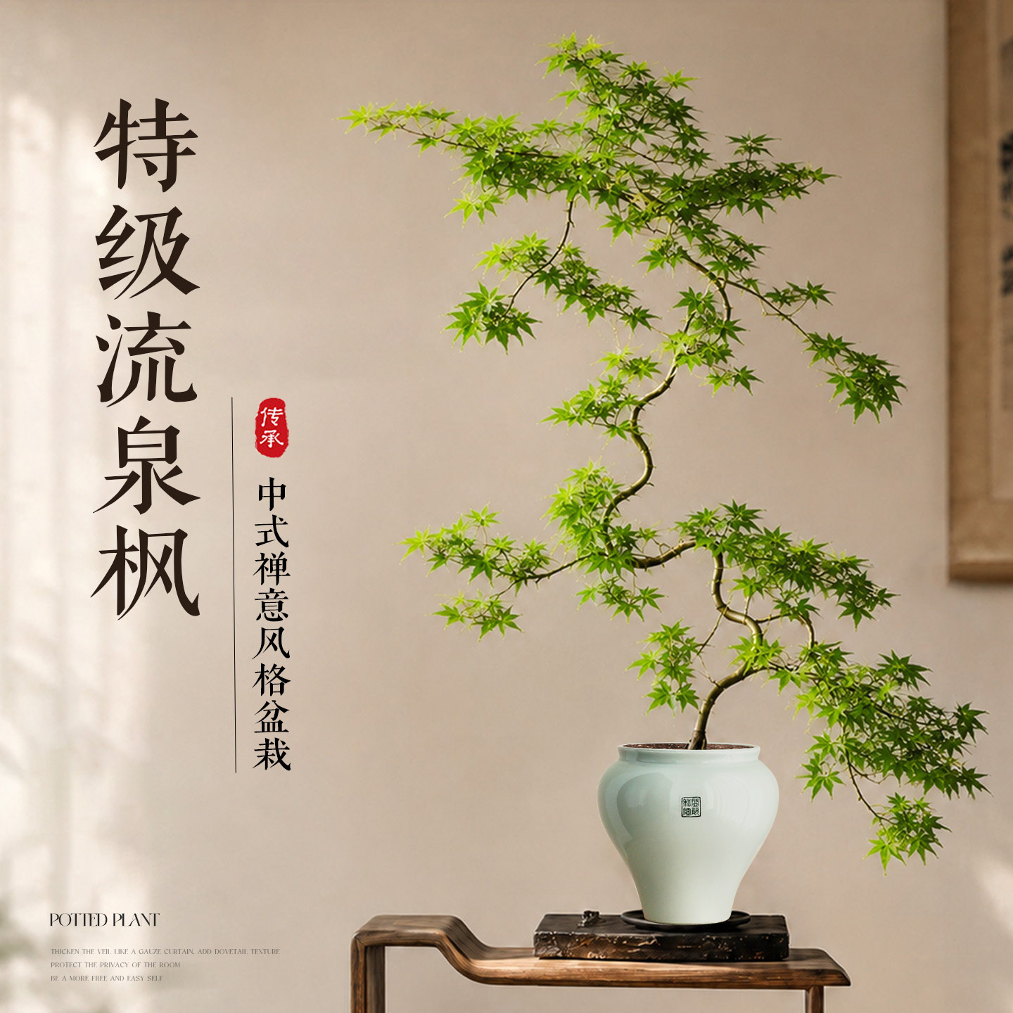 【万事顺枫】飘枝流泉枫耐阴好养图片