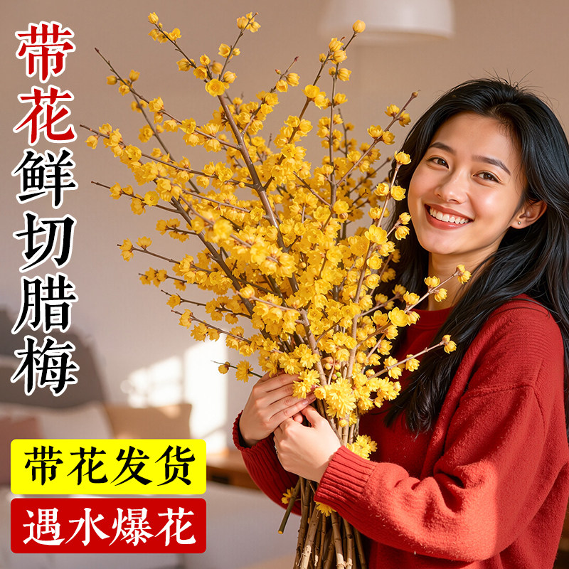 水培鲜切腊梅鲜花家用带花苞干枝腊梅枝条四季花卉插花室内绿植物,鲜花速递/花卉仿真/绿植园艺,时令草本花卉,淘宝优惠券,粉丝福利购,淘宝优惠卷