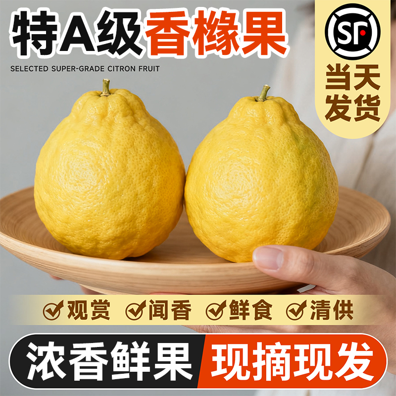 云南高山香橼果新鲜食用佛手水培