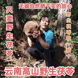 云南高山野生茯苓祛去湿气重泡水煲汤中药材特级正品精选无硫晒干