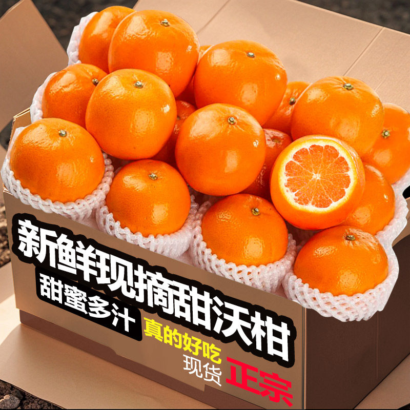正宗高山沃柑新鲜水果当季整箱时令现摘沙糖蜜橘砂糖柑橘桔子橘