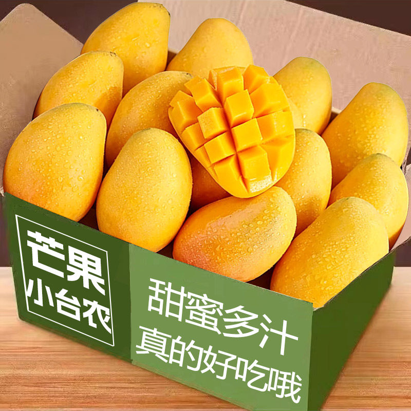 广西台农芒果小台芒正宗应当季时令热带新鲜水果新鲜采摘皮薄水果
