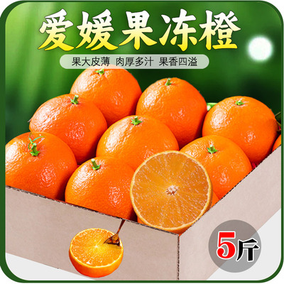 爱媛果冻橙8斤新鲜橙子水果青皮早熟广西应季甜橙子整箱包邮A