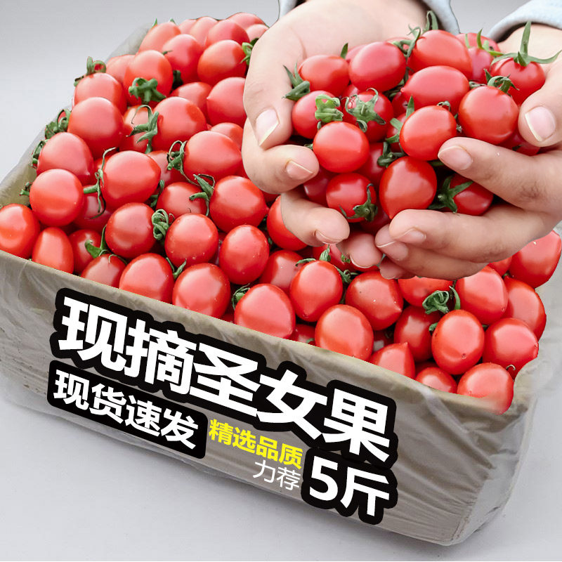 2025新鲜圣女果小番茄小西红柿孕妇水果脆甜现摘现发包邮当季整箱,水产肉类/新鲜蔬果/熟食,番茄,淘宝优惠券,粉丝福利购,淘宝优惠卷