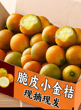 2025广西脆皮金桔鲜果金桔现摘新鲜水果多汁金桔孕妇整箱包邮