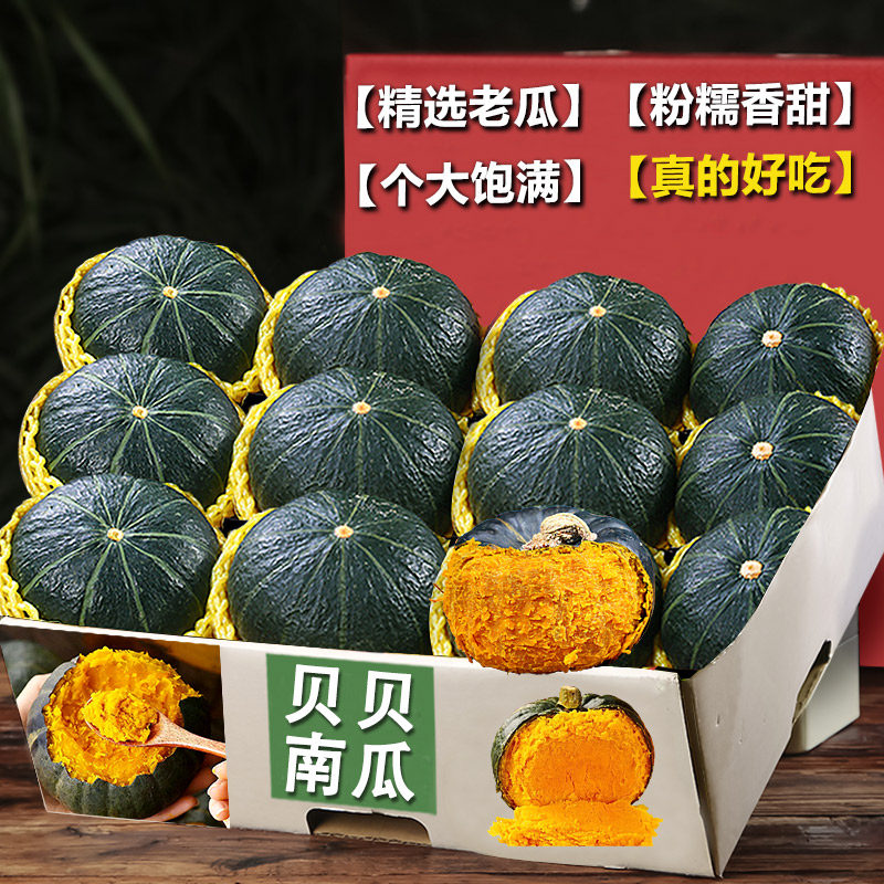 正品贝贝南瓜正宗板栗味贝贝板栗小南瓜老南瓜甜婴儿辅食嫩金包邮