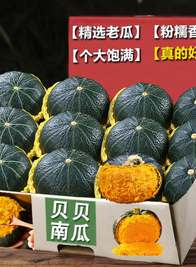 贝贝南瓜3斤（4-8个）,粉糯香甜