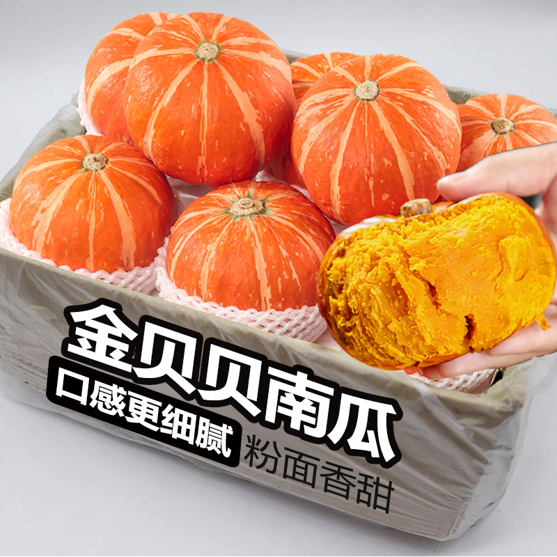 正宗金贝贝南瓜板栗味小南瓜蒸煮粉面香甜整箱精选新鲜婴儿辅食