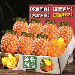 海南金钻凤梨新鲜水果当季风梨香水菠萝特产大果无眼新鲜包邮
