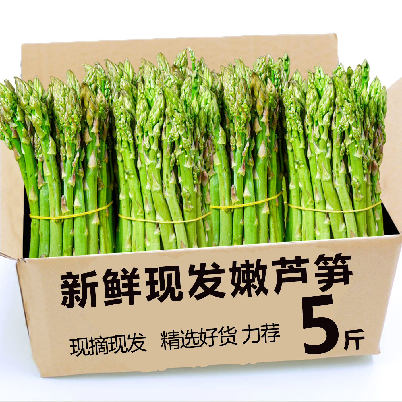 正宗现挖芦笋新鲜脆嫩5斤时令蔬菜根苗青笋尖去春笋产地直发龙须