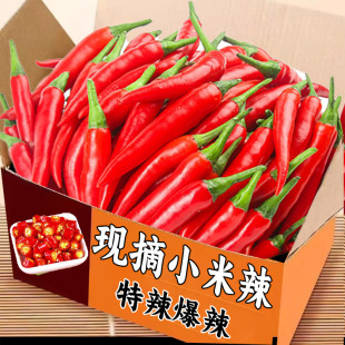 小米辣椒新摘新鲜小米椒农家自种现摘特辣朝天椒指天椒包邮