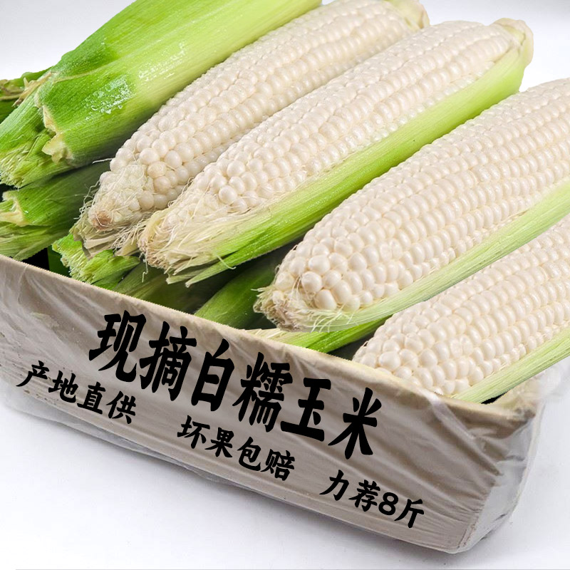2025新鲜白糯玉米现摘嫩甜玉米