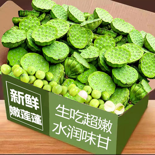 新鲜莲蓬现摘甜嫩生莲米当季蔬菜现剥莲蓬头农家自种产地直发整箱