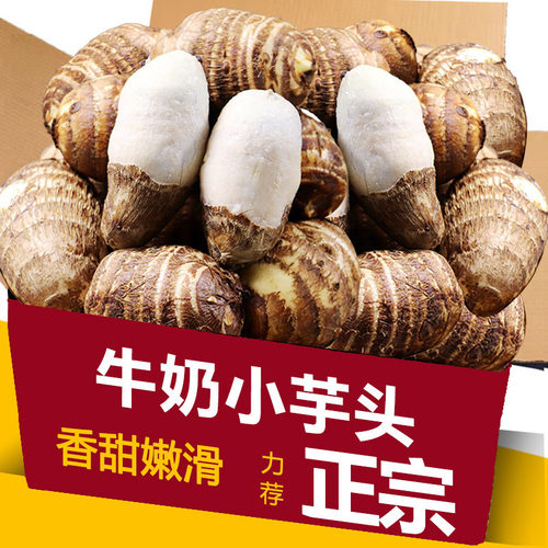 牛奶小芋头新鲜农家粉糯毛芋头香芋艿芋头净重芋圆芋头批发包邮