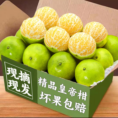 现货闪发云南9斤新鲜皇帝柑新鲜水果现摘橘子当季时令整箱包邮桔