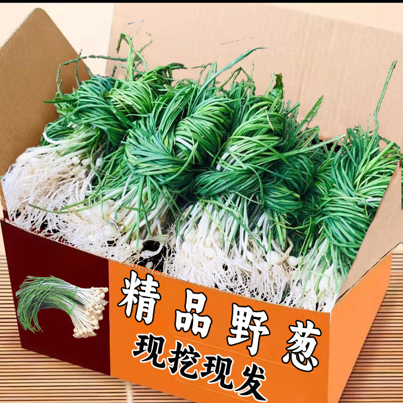 湖南现挖新鲜野菜野生小头野葱胡葱野蒜头香葱带根发货包邮喷香