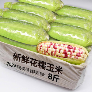 2024现货新鲜花糯玉米应季甜糯玉米棒保鲜带皮苞谷蔬菜当季整箱
