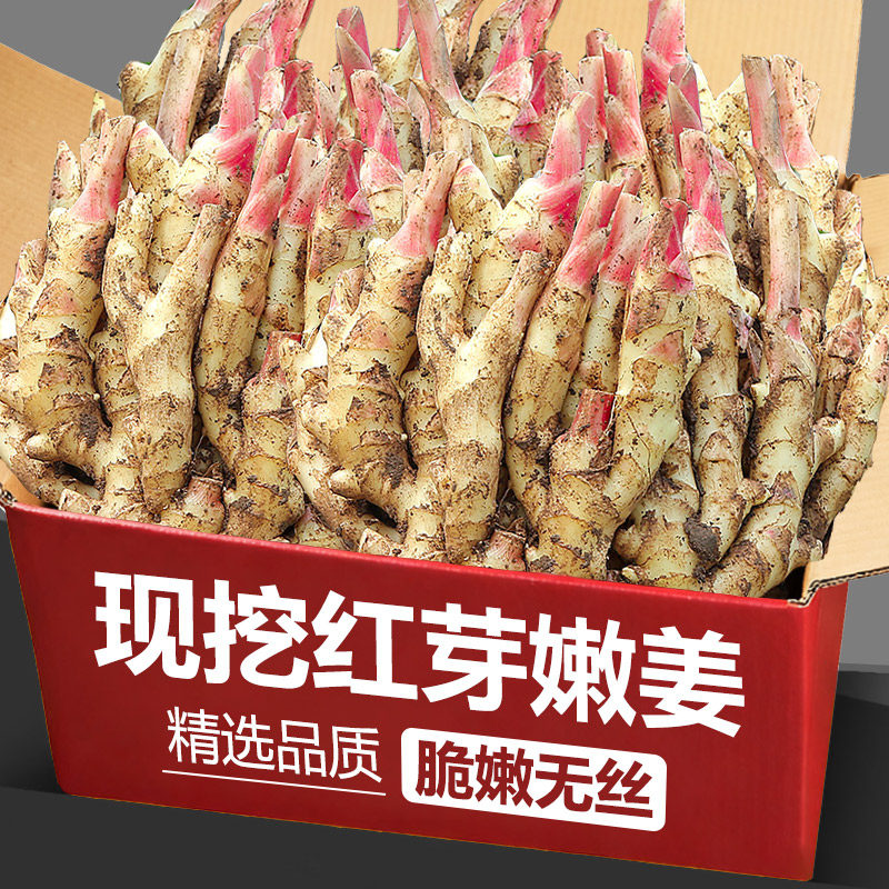 红芽嫩姜当天现挖新鲜嫩姜仔姜子姜指头生姜应当季醋泡姜整箱包邮