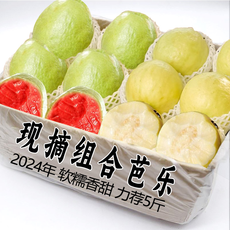 ڲ1 2025ժ9.3Ԫ