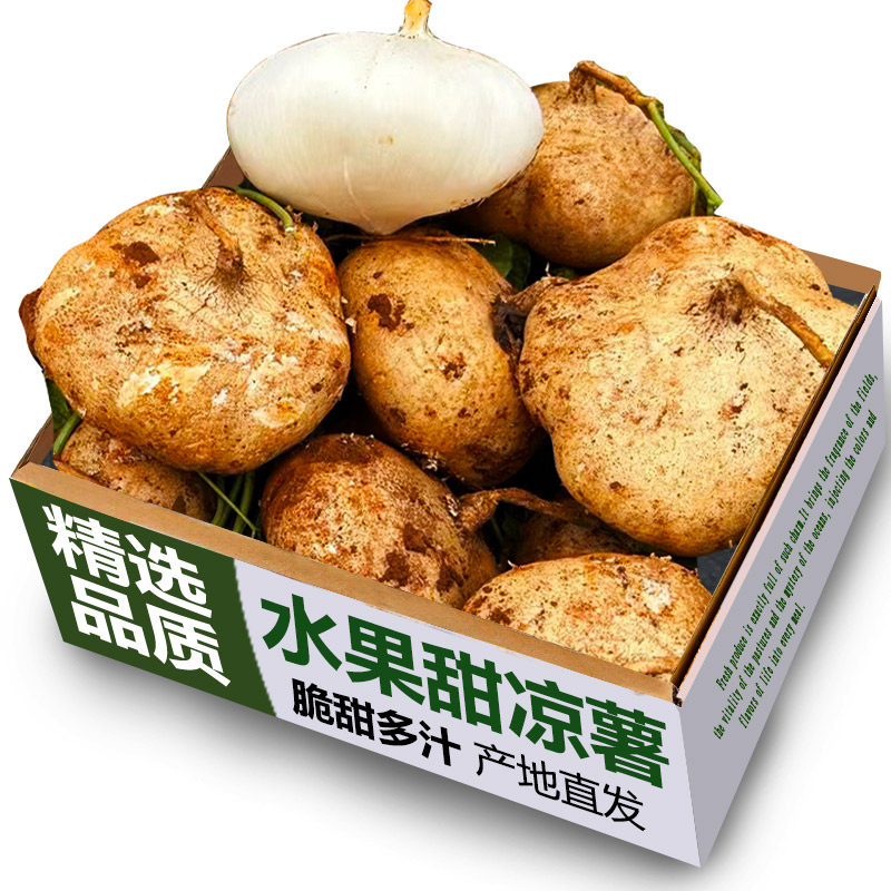 水果凉薯新鲜现挖农家白地瓜小番薯沙葛根红豆薯蔬菜整箱新鲜土瓜
