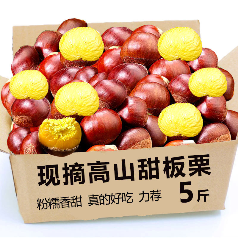 丹东板栗生新鲜5斤生鲜农家特产25年毛栗子大个新板栗板栗中大果