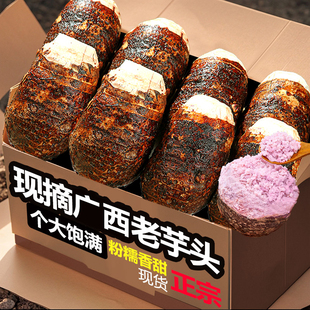 正宗新鲜广西大芋头3斤整箱小芋头旗舰店芋现挖毛芋头新鲜9斤