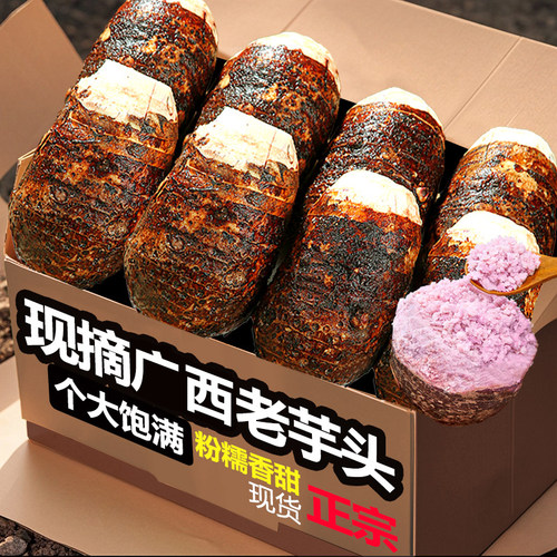 现挖荔浦大芋头3斤，粉糯香甜！
