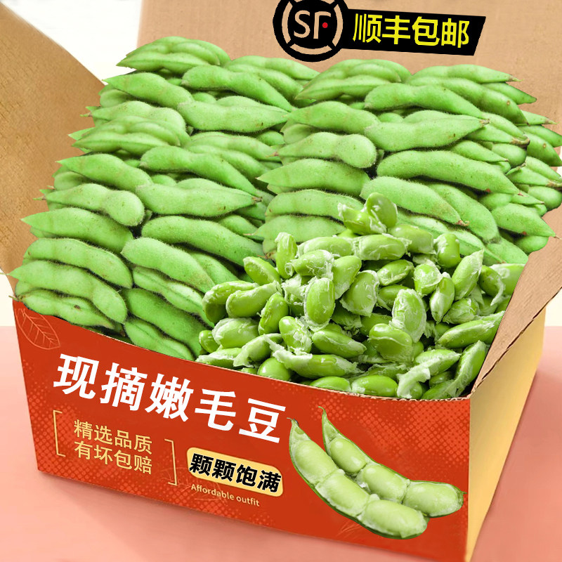 苏北农家新鲜毛豆带壳现摘现发毛豆角青毛豆嫩毛豆米毛豆顺丰包邮