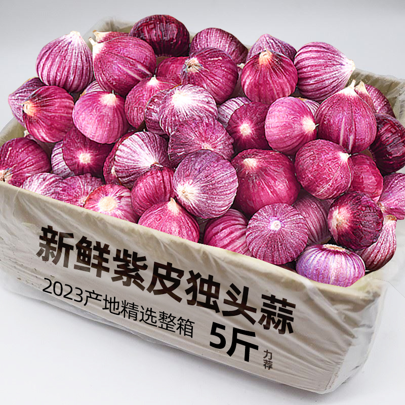 2025现挖云南紫皮独头蒜当季新鲜