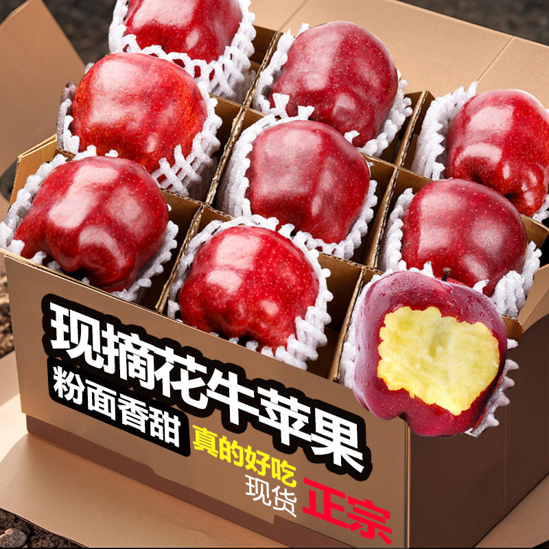 甘肃天水花牛苹果新鲜水果红蛇产地斤平速发时令粉面刮泥打包发