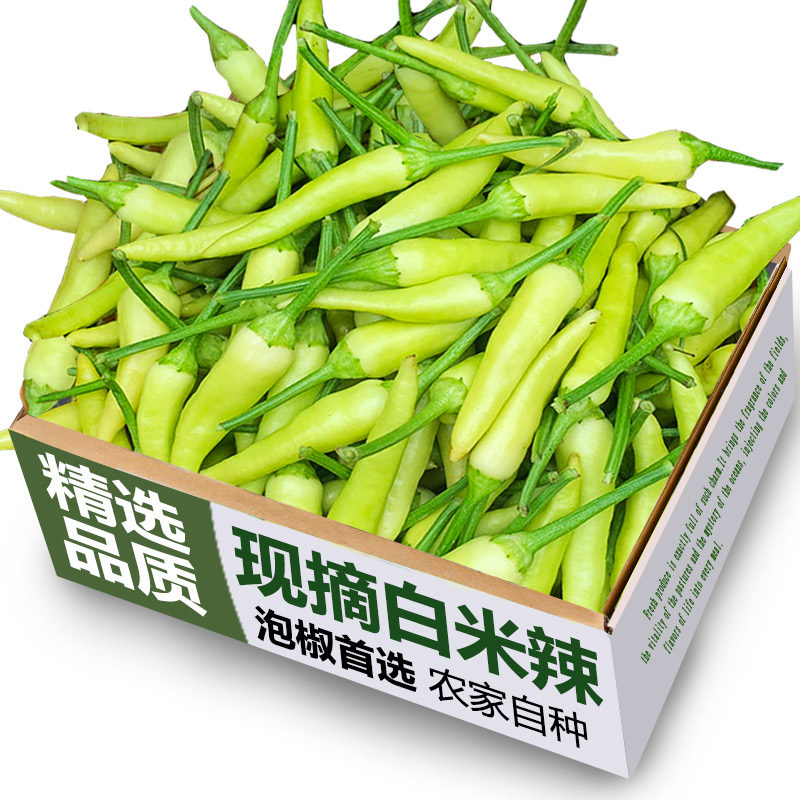 现摘野山椒白色白米辣椒小米辣椒新鲜做泡椒米椒朝天椒超辣指天椒
