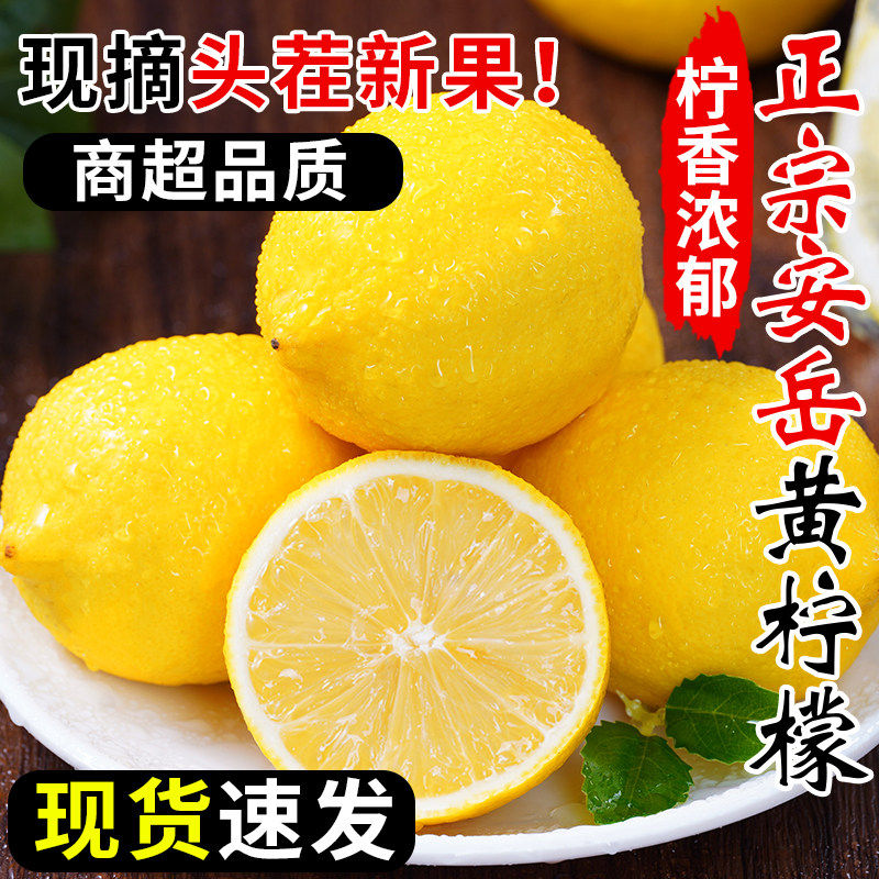 安岳黄柠檬鲜果5斤大果当季新鲜水果一二级皮薄小香水青柠檬6