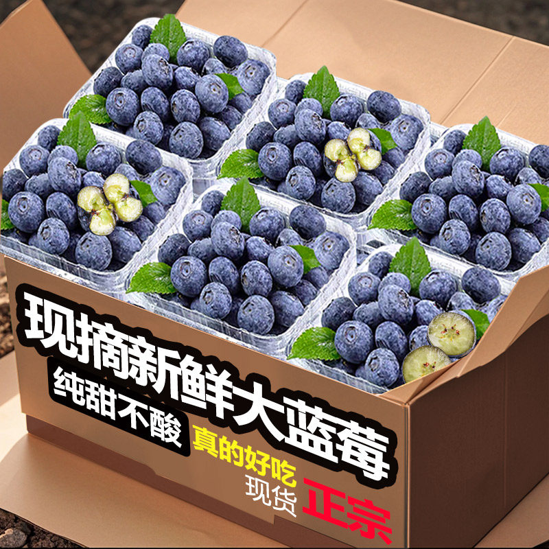 新鲜大果蓝莓 当季时令水果生鲜 送礼物推荐精选大果 单盒125g】
