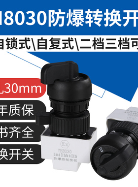 YH8030防爆转换开关防爆防腐旋钮exd两档三档自锁自复开孔径30mm