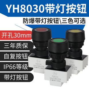 YH8030防爆防腐带指示灯控制按钮30mm有3C证书自复位带灯按钮开关