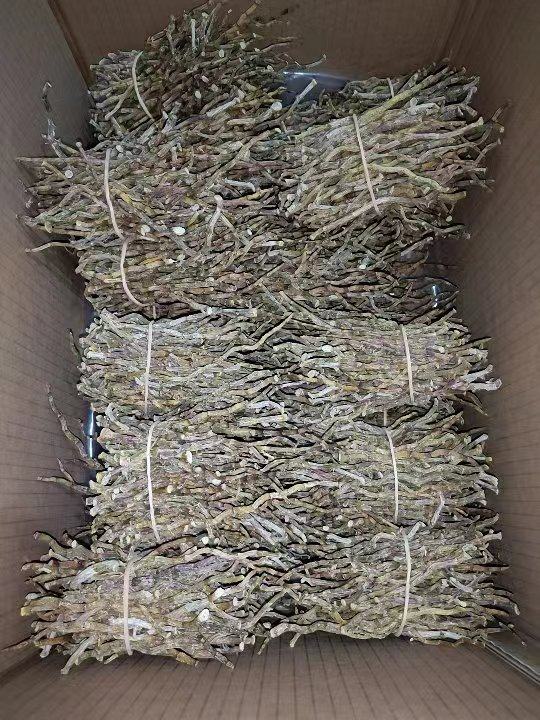 【正宗广西灵山铁皮石斛三年生长干条】精选铁皮石斛干条传统晒干