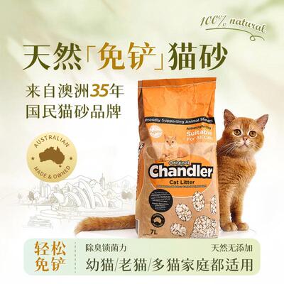 澳洲Chandler猫砂免铲除臭不外带