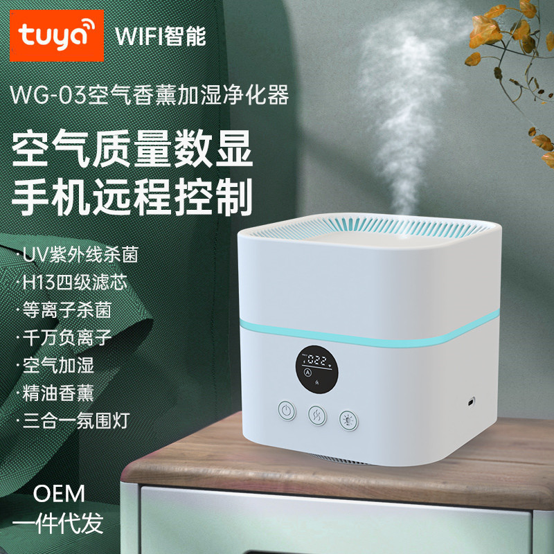 pm2.5负离子空气净化器HEPA香薰