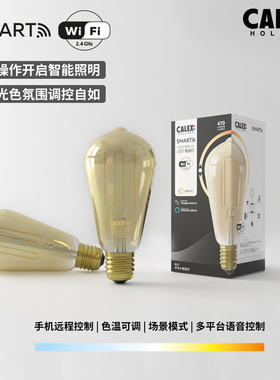 荷兰CALEX智能灯泡WiFi色温可调ST64复古LED灯丝灯泡远程控制