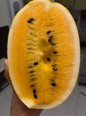 双黄蛋西瓜种子黄皮橙肉西瓜种子 32025西瓜种子待等