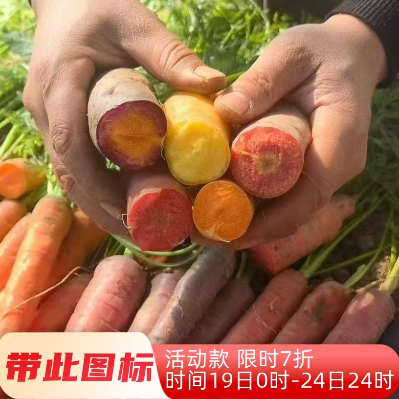 五色胡萝卜种子合集水果胡萝卜种子生吃脆甜可榨汁食用五彩胡萝卜,农用物资,蔬菜种子/种苗,淘宝优惠券,粉丝福利购,淘宝优惠卷